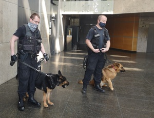 Police dogs training at the Jagiellonian University